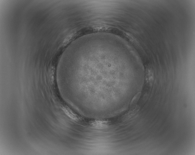 X0000078000664200611101755