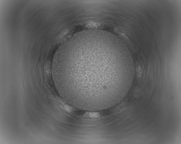 X0000078000665200611101755