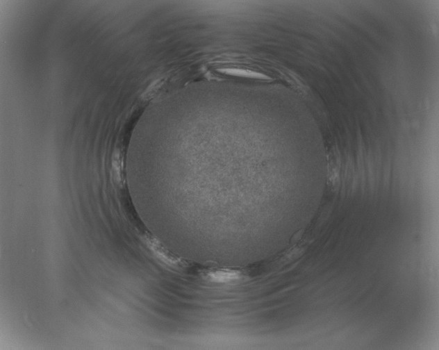 X0000078000669200611101756