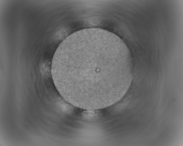 X0000078000672200611101756