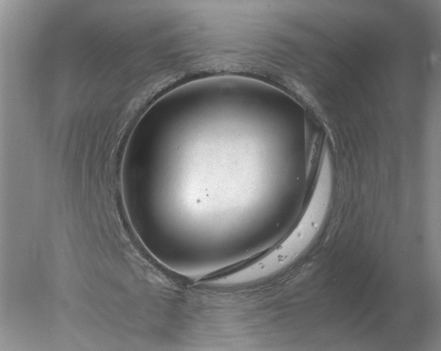 X0000078000673200611101755