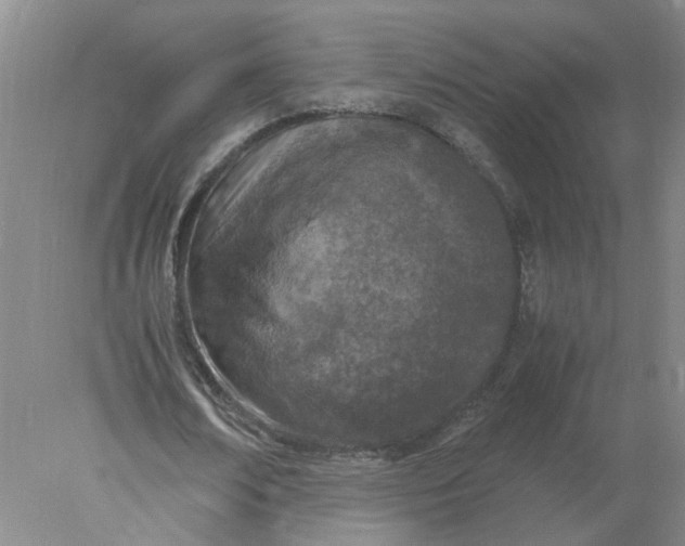 X0000078000674200611101755