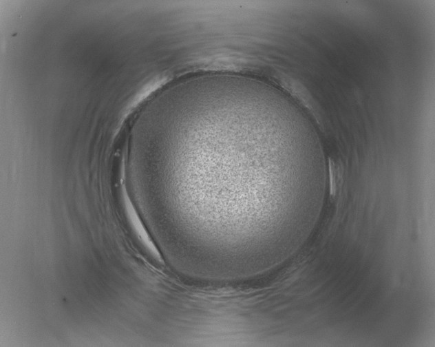 X0000078000675200611101755