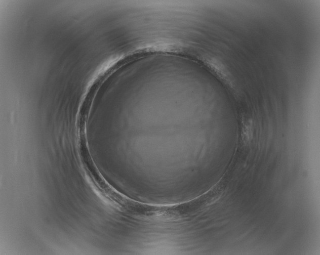 X0000078000678200611101755