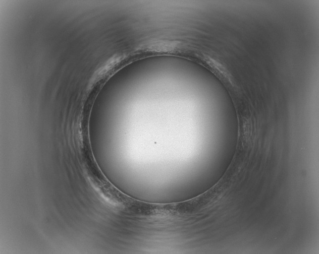 X0000078000682200611101755