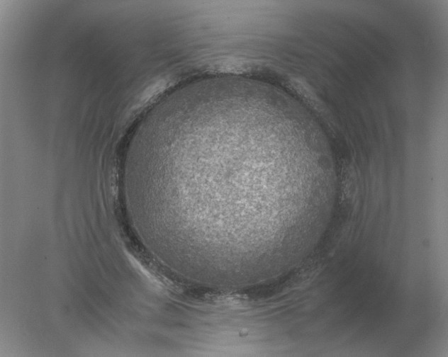 X0000078000683200611101755