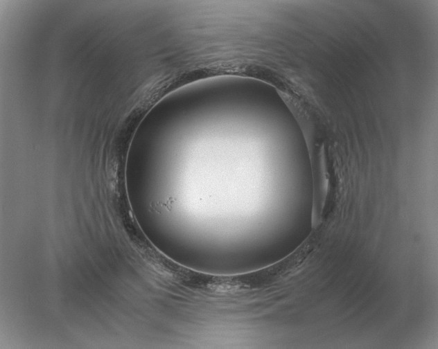 X0000078000693200611101754