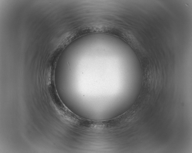 X0000078000694200611101754