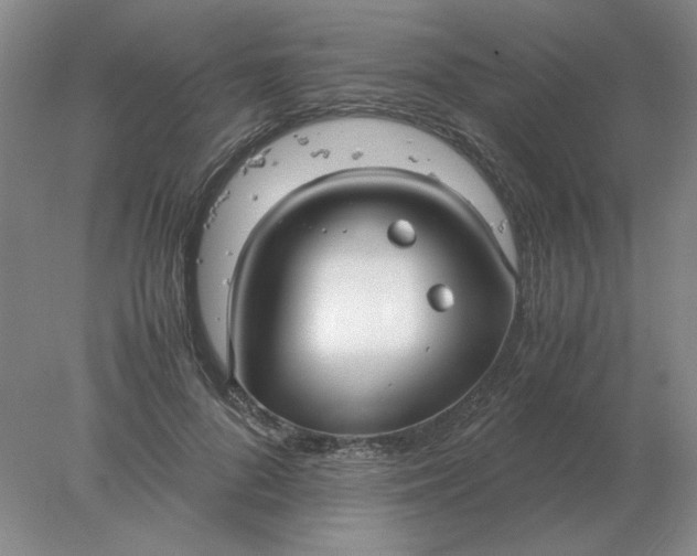 X0000078000696200611101754