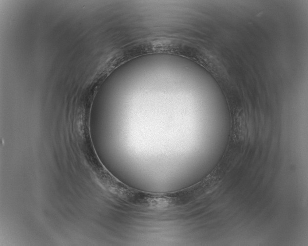 X0000078000698200611101754