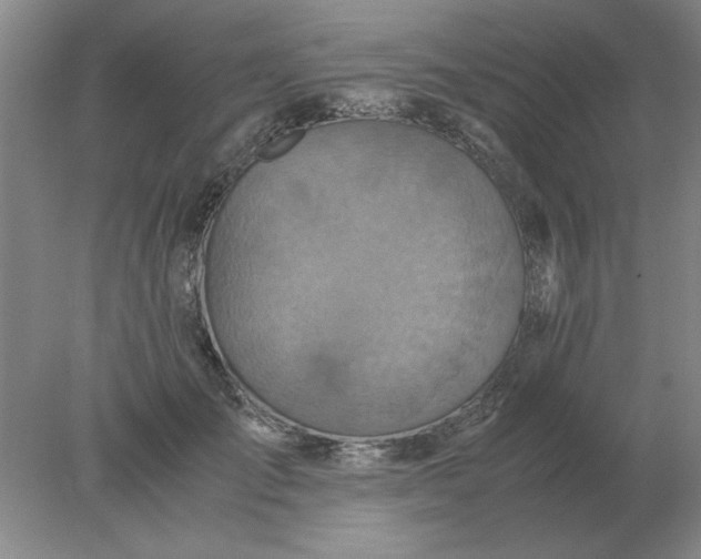 X0000078000701200611101754