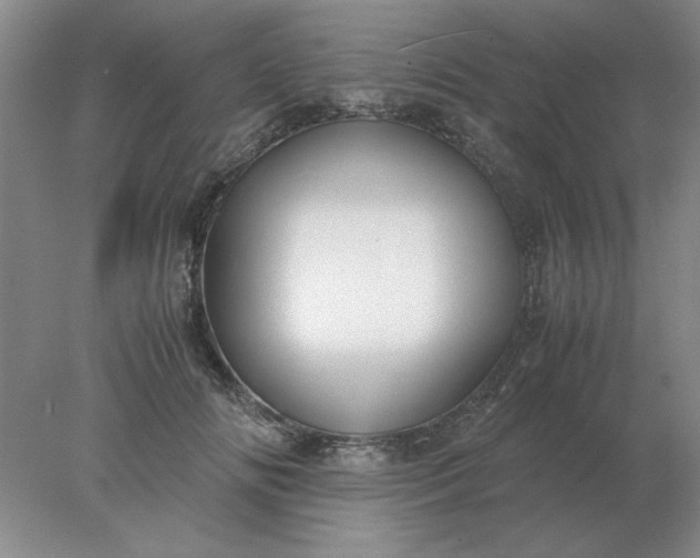 X0000078000702200611101754