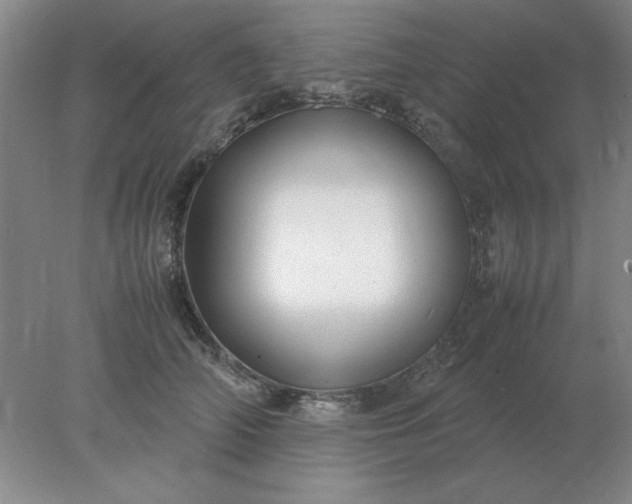 X0000078000706200611101754