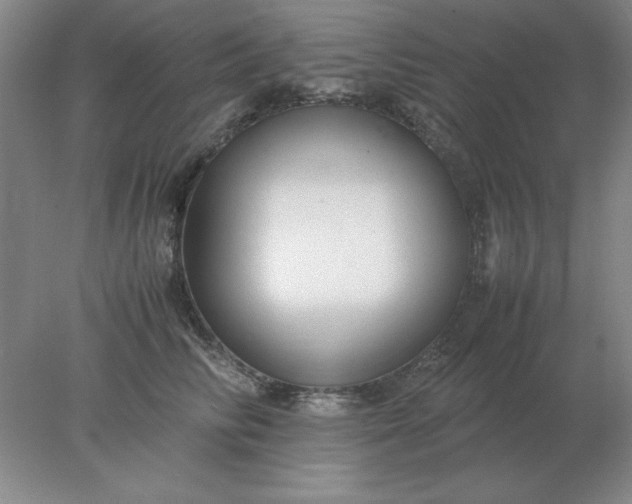 X0000078000710200611101754