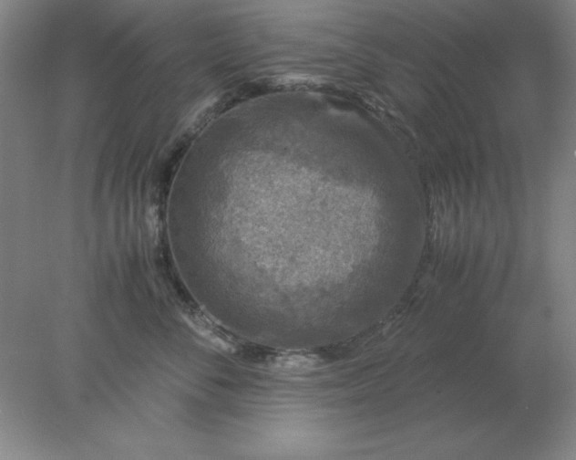 X0000078000716200611101754