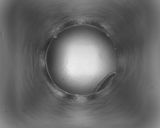 X0000078000719200611101754