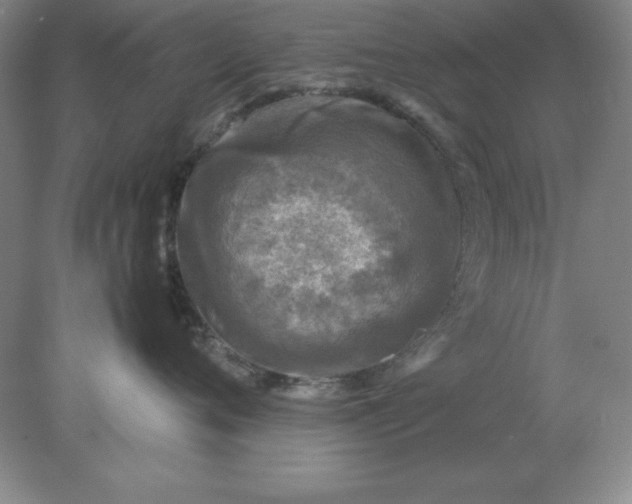 X0000078000720200611101754