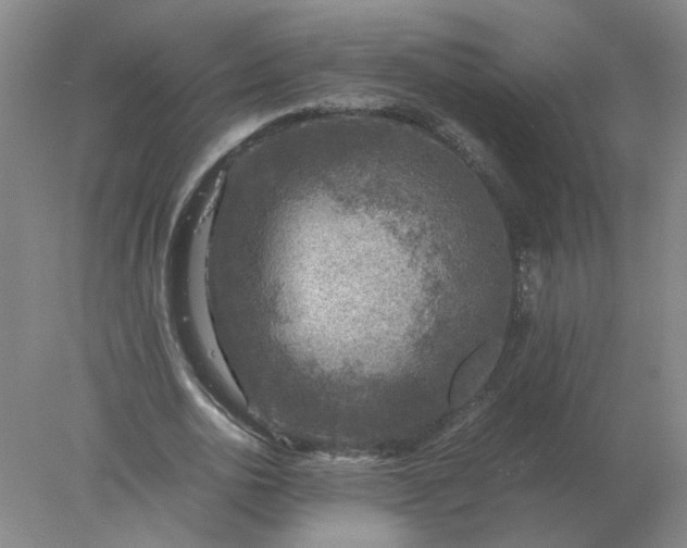 X0000078000726200611101753