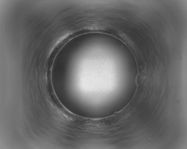 X0000078000727200611101753