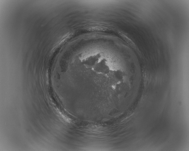 X0000078000729200611101753