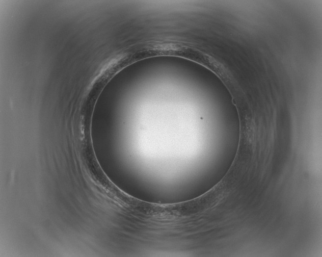 X0000078000731200611101753