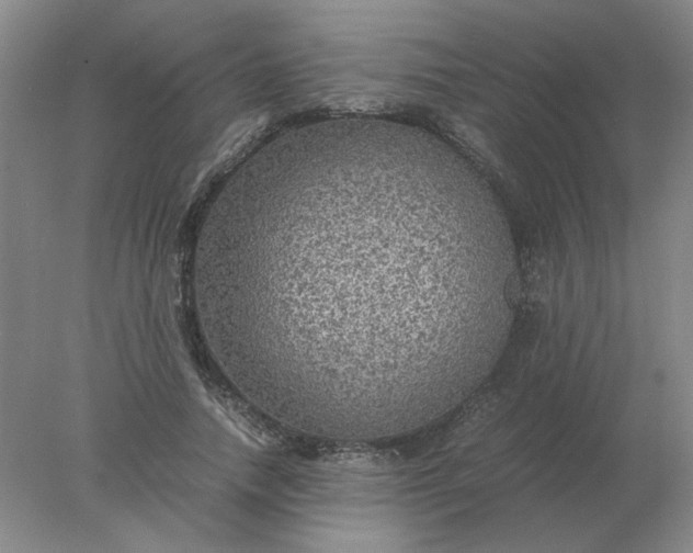 X0000078000738200611101753
