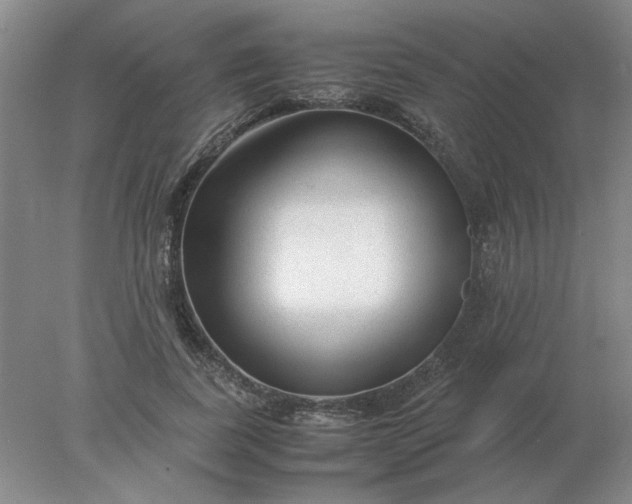 X0000078000739200611101753