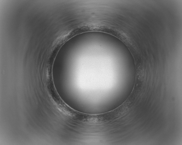 X0000078000740200611101753