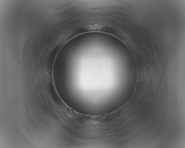 X0000078000743200611101754
