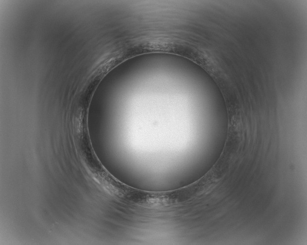 X0000078000744200611101754