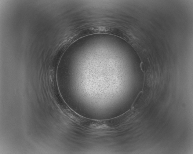X0000078000747200611101754