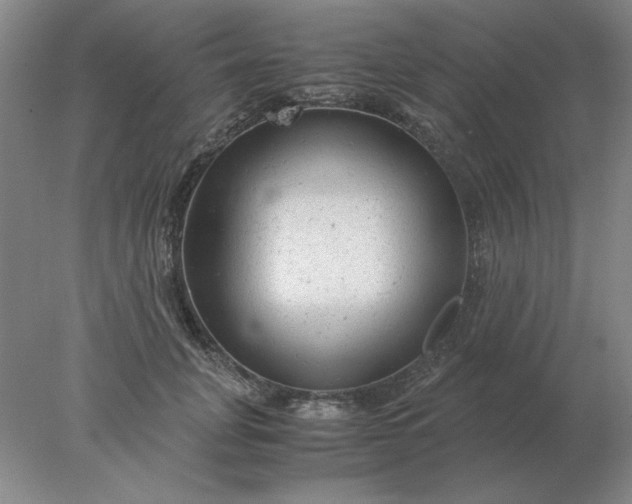 X0000078000751200611101754