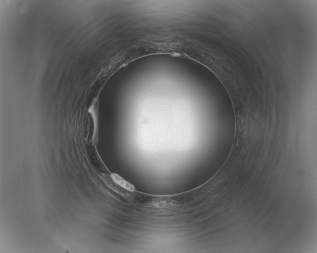 X0000078000752200611101754