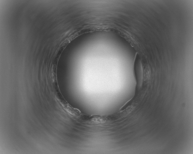 X0000078000764200611101754