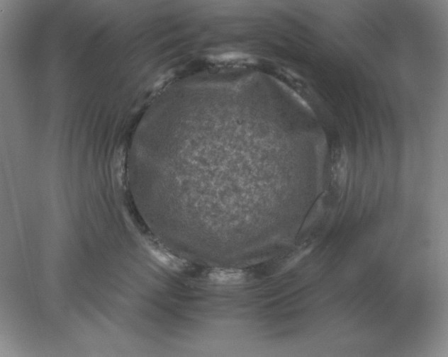 X0000078000767200611101754