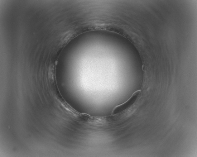 X0000078000768200611101754