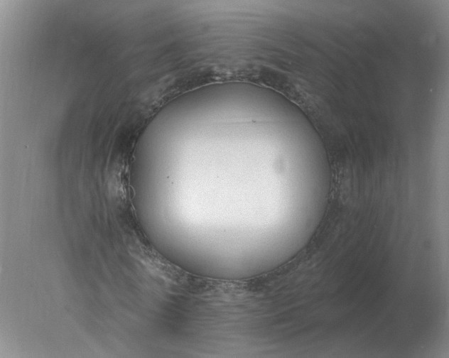 X0000078000770200611101753