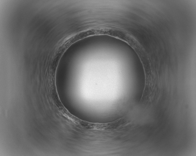 X0000078000773200611101753