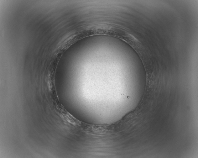 X0000078000774200611101753