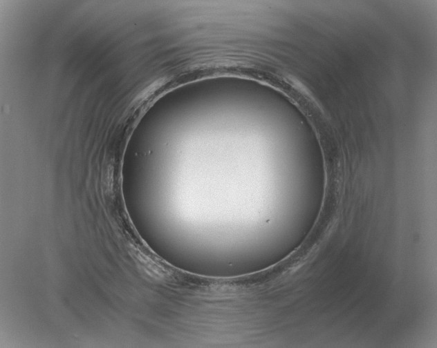 X0000078000777200611101753