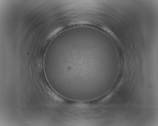 X0000078000785200611101753
