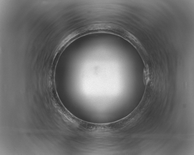 X0000078000786200611101753