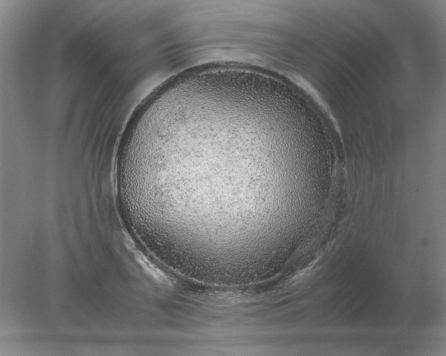 X0000078000791200611101753