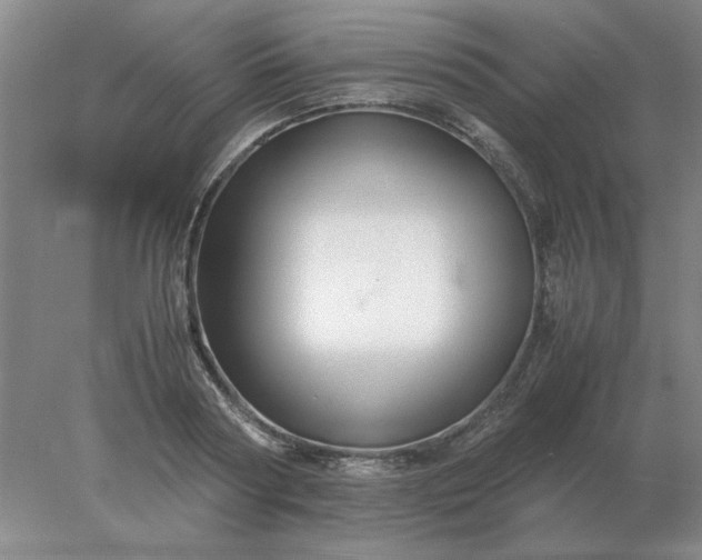 X0000078000794200611101753