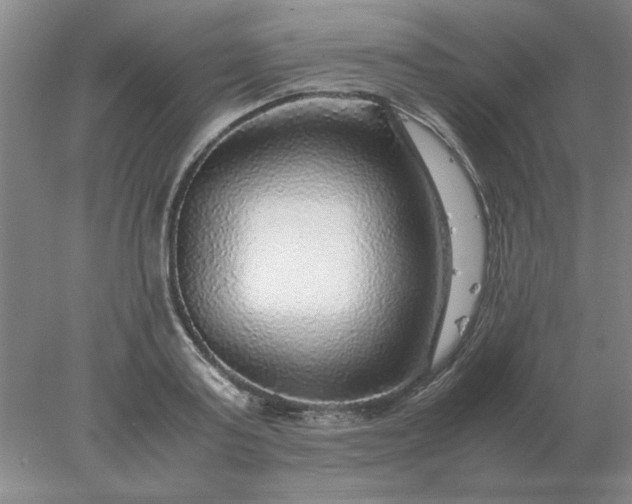 X0000078000795200611101753