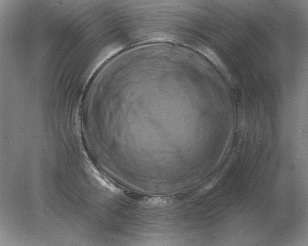 X0000078000806200611101753