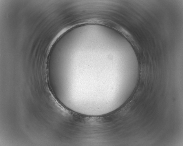 X0000078000808200611101752