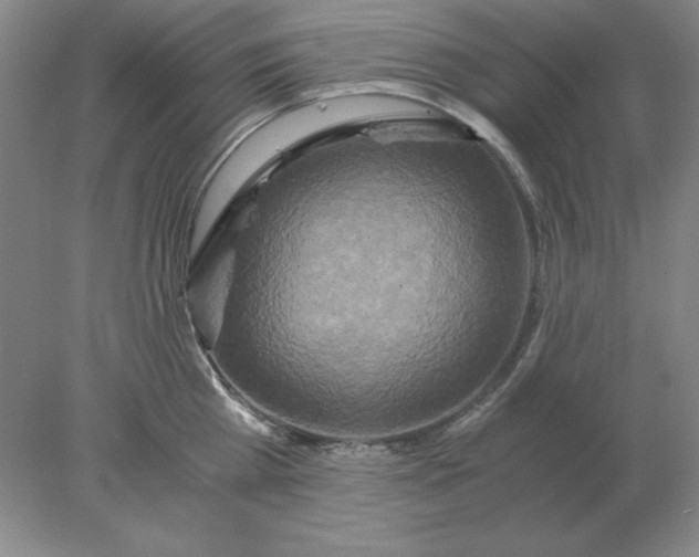 X0000078000809200611101752