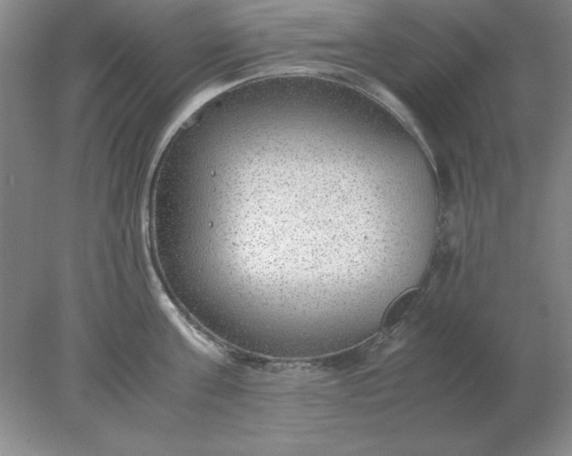 X0000078000811200611101752