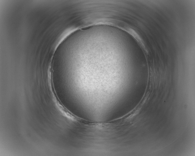 X0000078000814200611101752